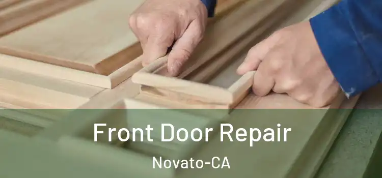  Front Door Repair Novato-CA